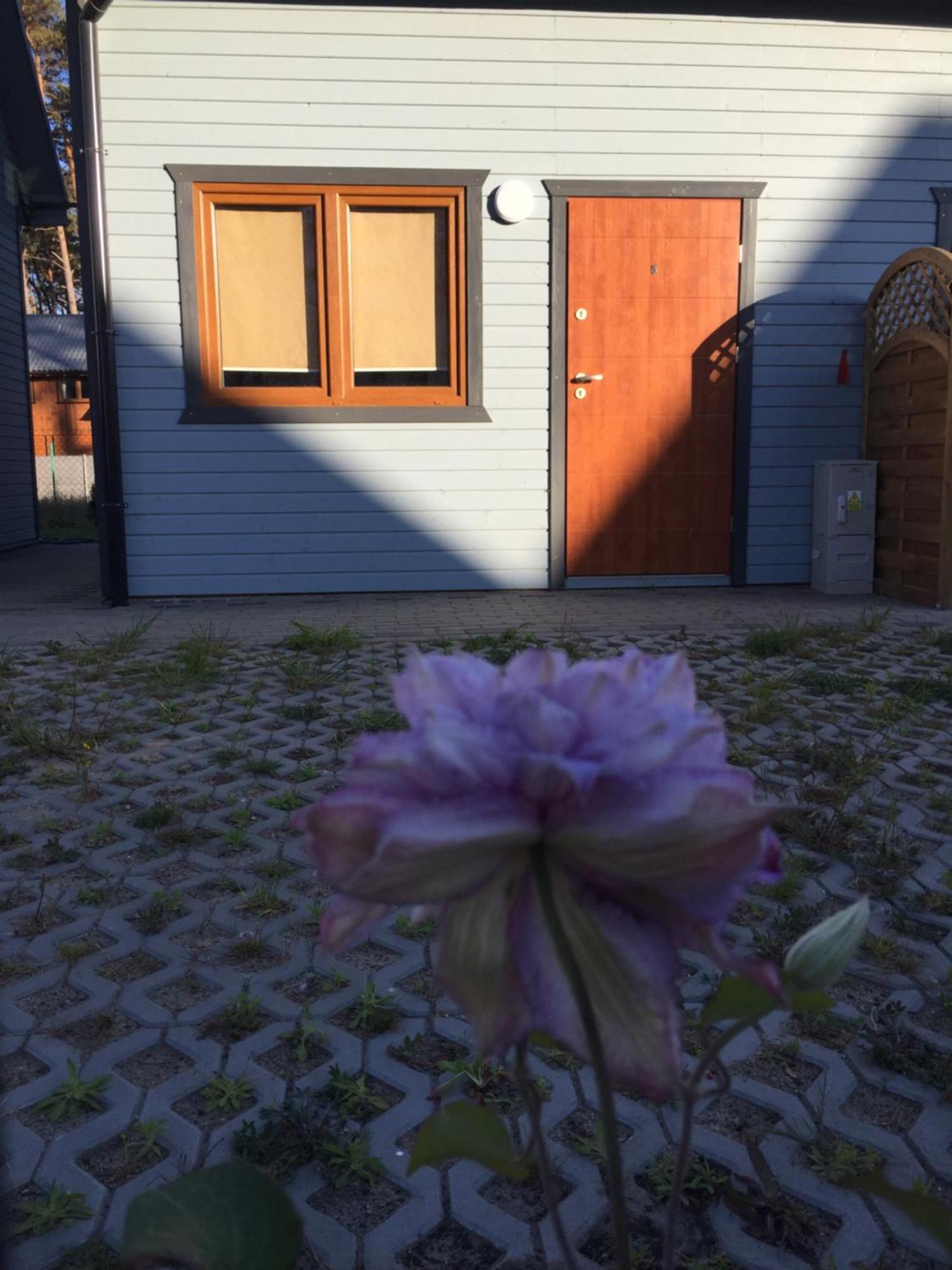 Domki Alex Przy Plazy Dziwnowek Exterior photo